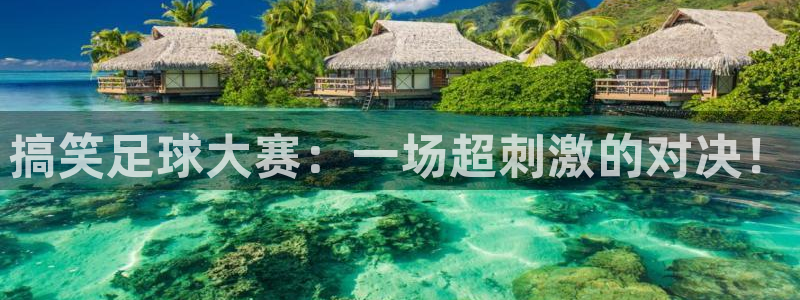 搞笑足球大赛：一场超刺激的对决！