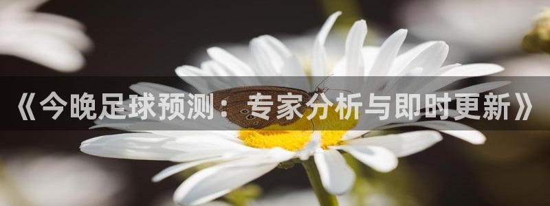 《今晚足球预测：专家分析与即时更新》