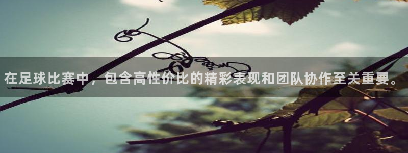  在足球比赛中，包含高性价比的精彩表现和团队协作至关重要。