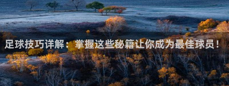 足球技巧详解：掌握这些秘籍让你成为最佳球员！