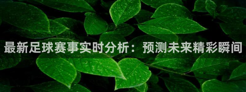  最新足球赛事实时分析：预测未来精彩瞬间