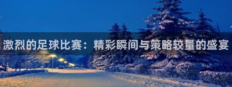  激烈的足球比赛：精彩瞬间与策略较量的盛宴