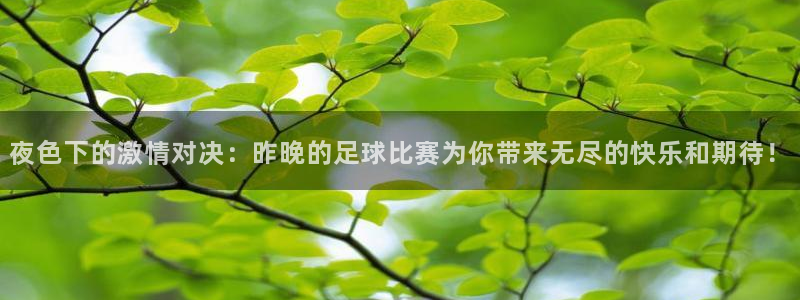 夜色下的激情对决：昨晚的足球比赛为你带来无尽的快乐和期待！