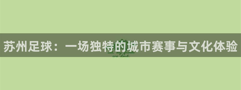 苏州足球：一场独特的城市赛事与文化体验