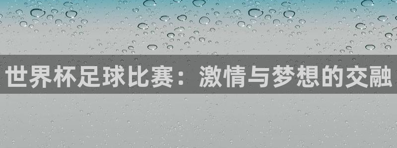  世界杯足球比赛：激情与梦想的交融