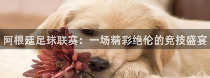 阿根廷足球联赛：一场精彩绝伦的竞技盛宴