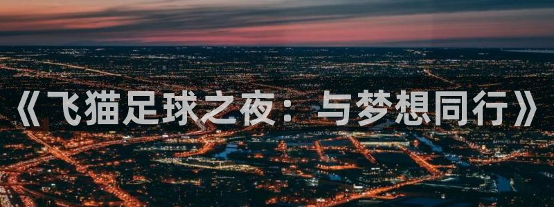  《飞猫足球之夜：与梦想同行》
