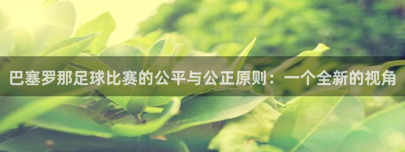 巴塞罗那足球比赛的公平与公正原则：一个全新的视角