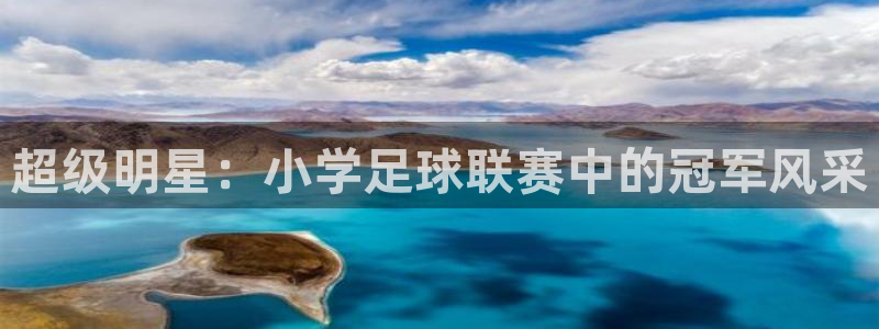 超级明星：小学足球联赛中的冠军风采