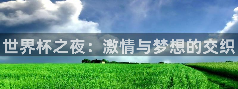  世界杯之夜：激情与梦想的交织