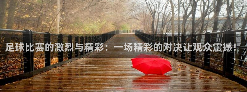  足球比赛的激烈与精彩：一场精彩的对决让观众震撼！