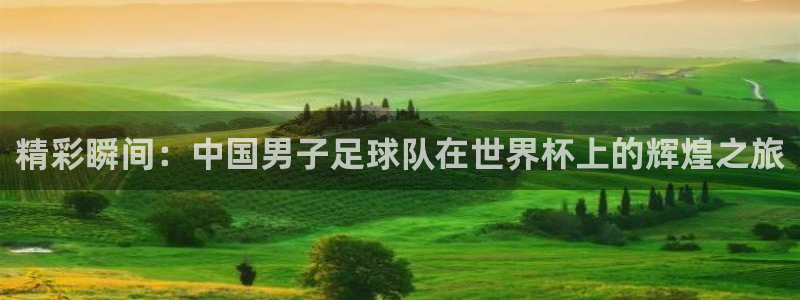 精彩瞬间：中国男子足球队在世界杯上的辉煌之旅