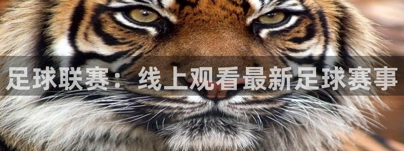 足球联赛：线上观看最新足球赛事