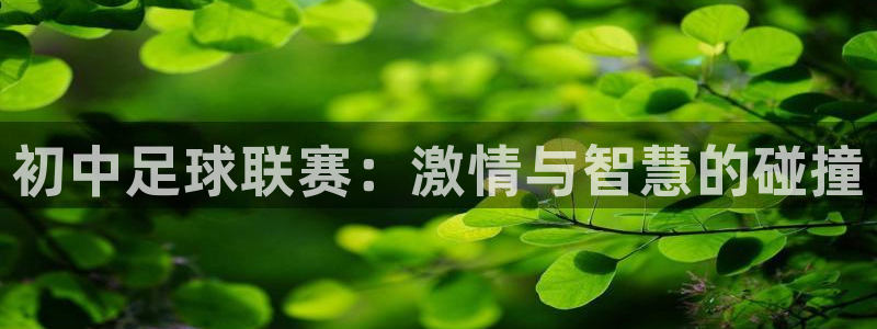 初中足球联赛：激情与智慧的碰撞