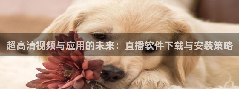 178直播体育平台新模式.快速玩.org：超高清视频与应用的未来：直播软件下载与安装策略