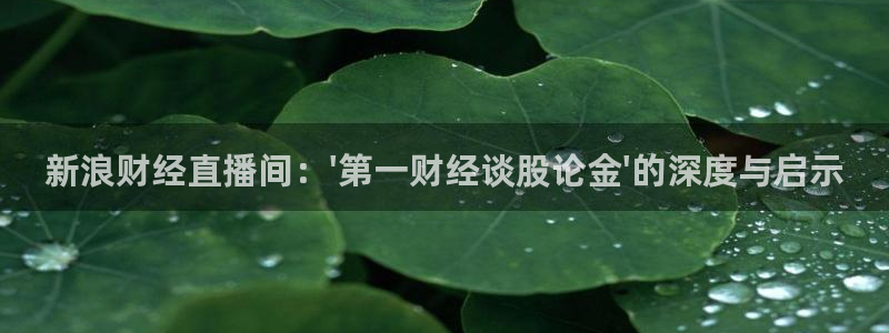 雨燕体育直播178：新浪财经直播间：\'第一财经谈股论金\'的深度与启示