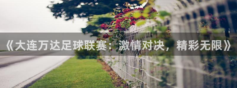 《大连万达足球联赛：激情对决，精彩无