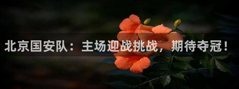 北京国安队：主场迎战挑战，期待夺冠！