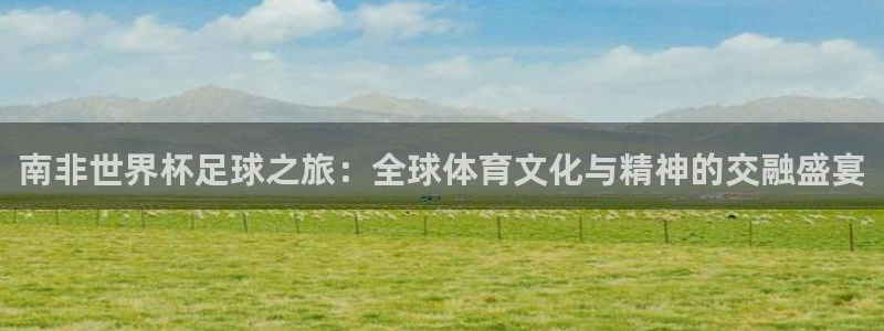 南非世界杯足球之旅：全球体育文化与精