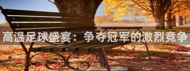 高温足球盛宴：争夺冠军的激烈竞争