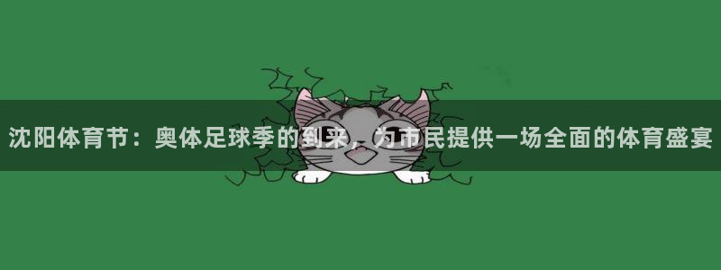 沈阳体育节：奥体足球季的到来，为市民