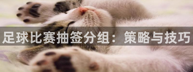 足球比赛抽签分组：策略与技巧
