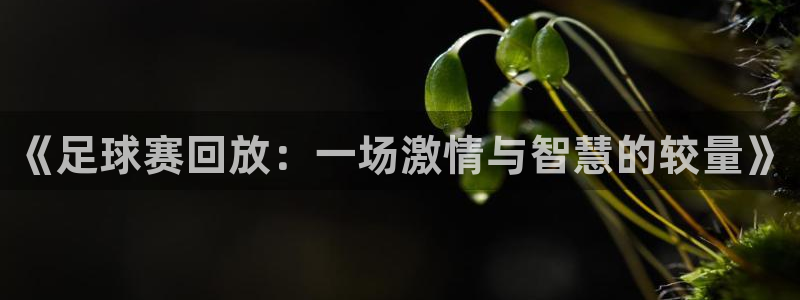 《足球赛回放：一场激情与智慧的较量》