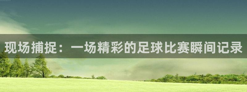 现场捕捉：一场精彩的足球比赛瞬间记录