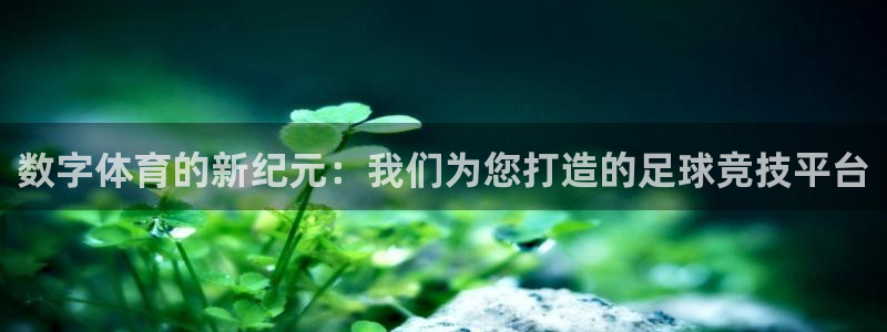 数字体育的新纪元：我们为您打造的足球