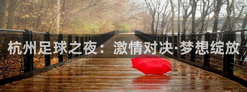 杭州足球之夜：激情对决·梦想绽放