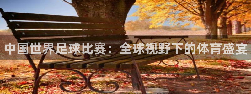 中国世界足球比赛：全球视野下的体育盛