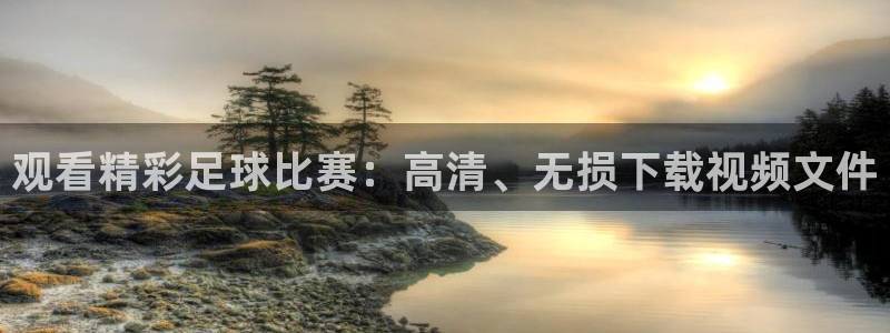 观看精彩足球比赛：高清、无损下载视频