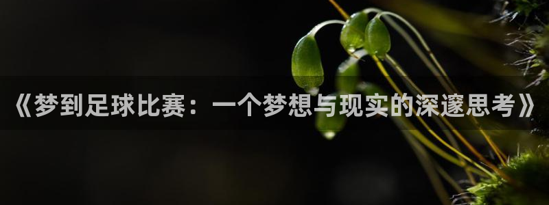 《梦到足球比赛：一个梦想与现实的深邃