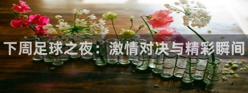  下周足球之夜：激情对决与精彩瞬间