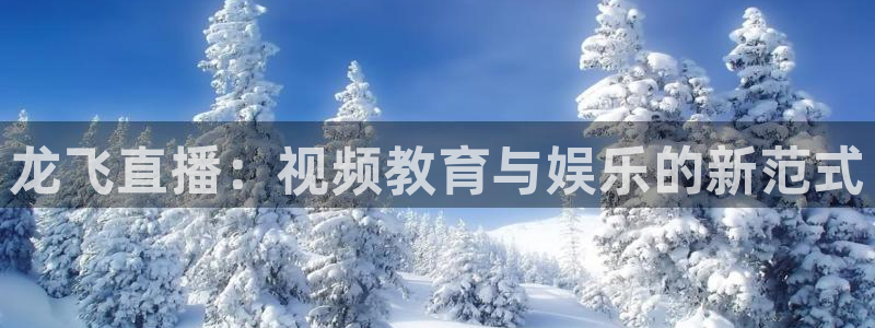 178足球体育直播平台：龙飞直播：视频教育与娱乐的新范式