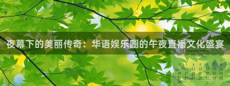 178足球直播在线观看免费：夜幕下的美丽传奇：华语娱乐圈的午夜直播文化盛宴