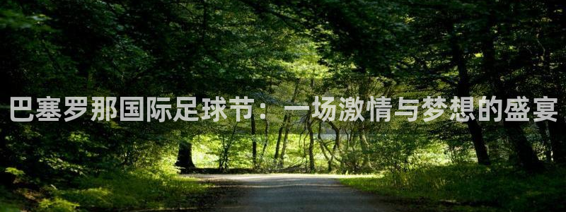 178直播篮球：巴塞罗那国际足球节：一场激情与梦想的盛宴