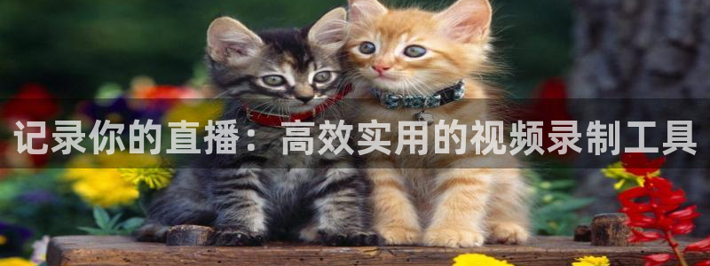 178在线看足球直播：记录你的直播：高效实用的视频录制工具