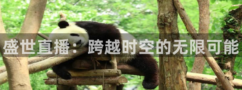 178tv直播体育：盛世直播：跨越时空的无限可能