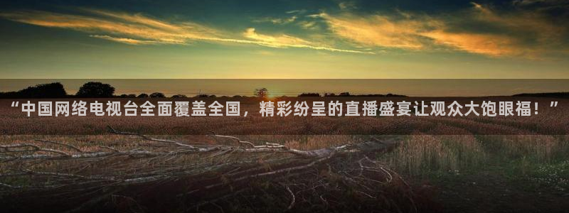 直播足球178：“中国网络电视台全面覆盖全国，精彩纷呈的直播盛宴让观众大饱眼福！”