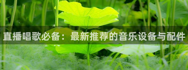 178体育视频直播免费观看
