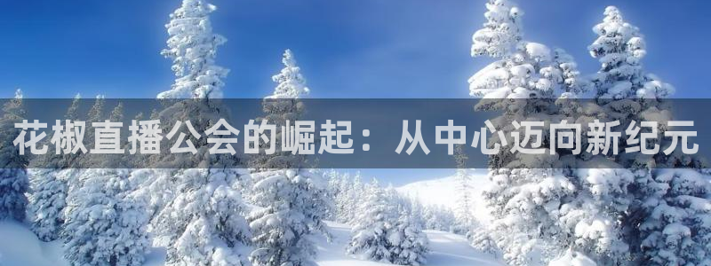 178体育直播最新版下载：花椒直播公会的崛起：从中心迈向新纪元
