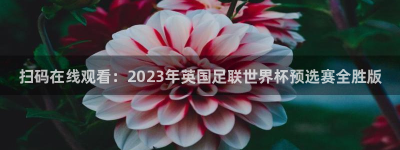 178体育直播篮球赛事直播：扫码在线观看：2023年英国足联世界杯预选赛全胜版